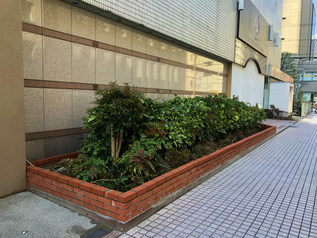 大阪市中央区　ホテル植栽工事　南国風　植栽施工前