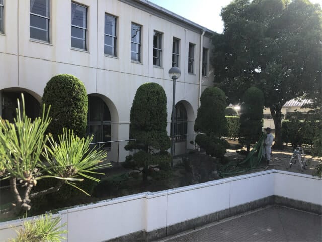 大阪府私立高校　剪定作業の画像