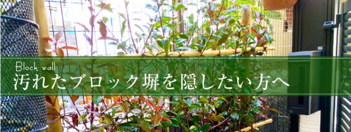 汚れたブロック塀を隠したい方へ 植木の剪定 庭の手入れのことなら大阪市住吉区の緑昇園